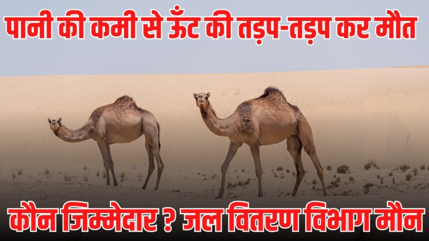 Balotra News Photo